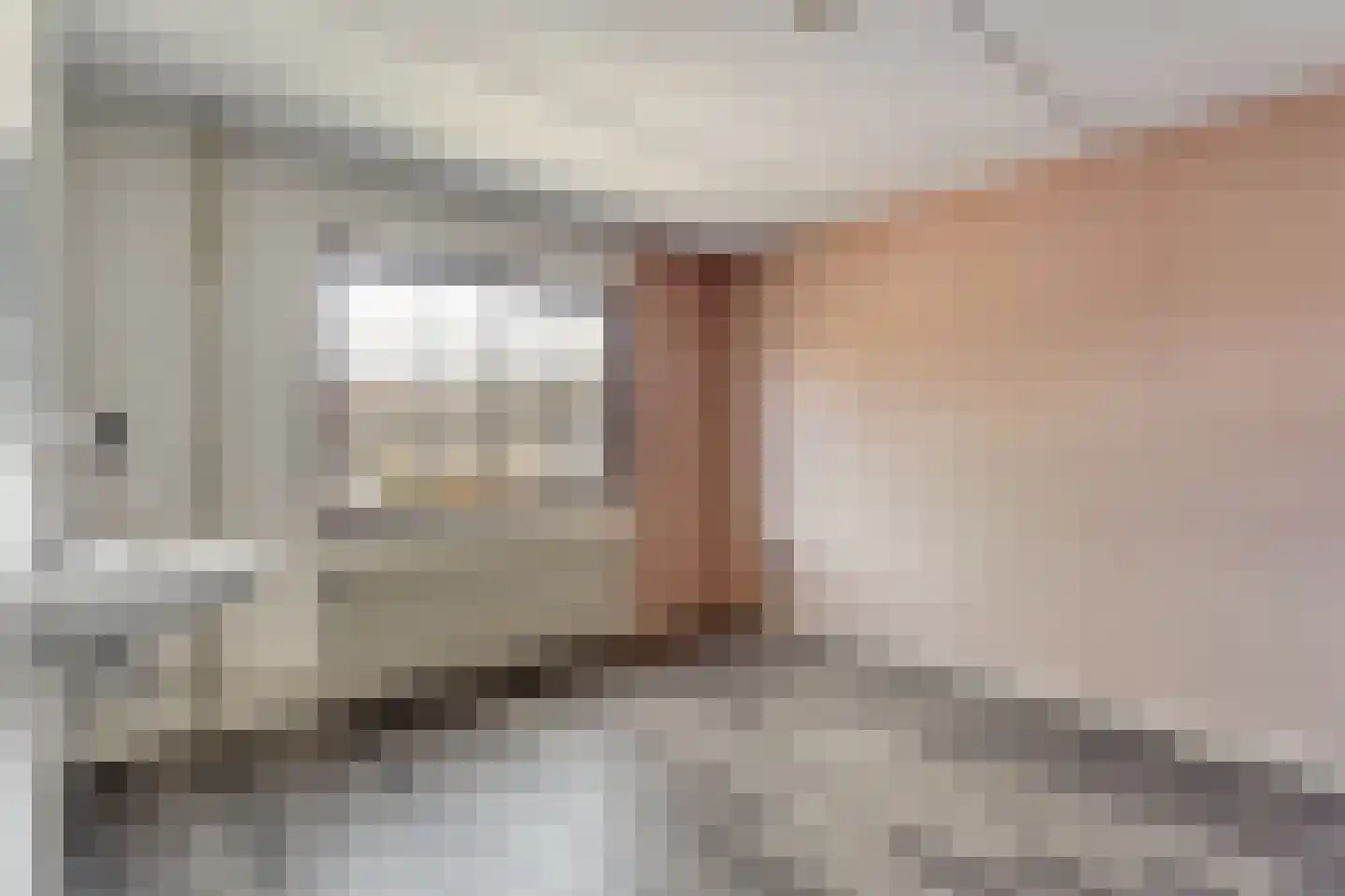 Bonte Kraai 3 Emmen thumbnail 22