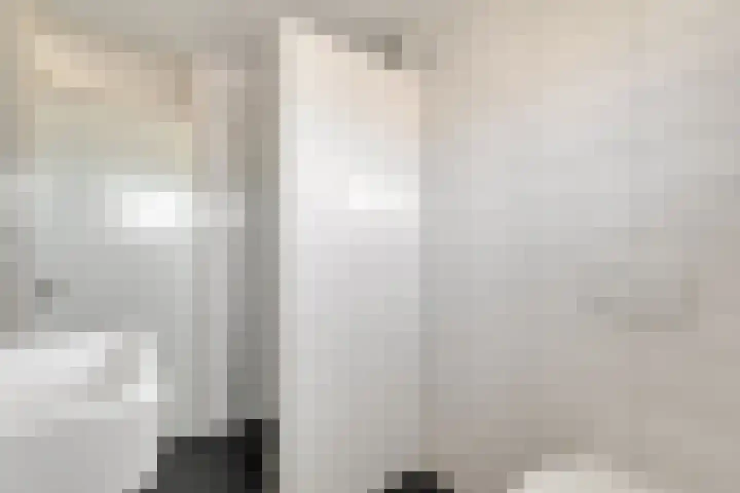 Bonte Kraai 3 Emmen thumbnail 26