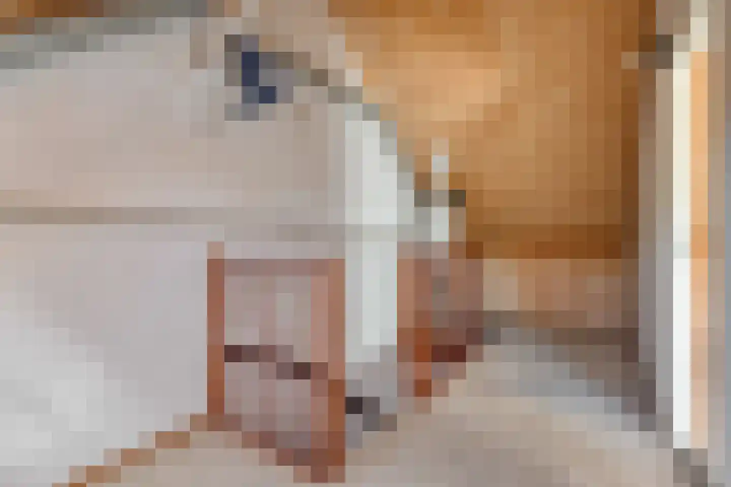 Bonte Kraai 3 Emmen thumbnail 28