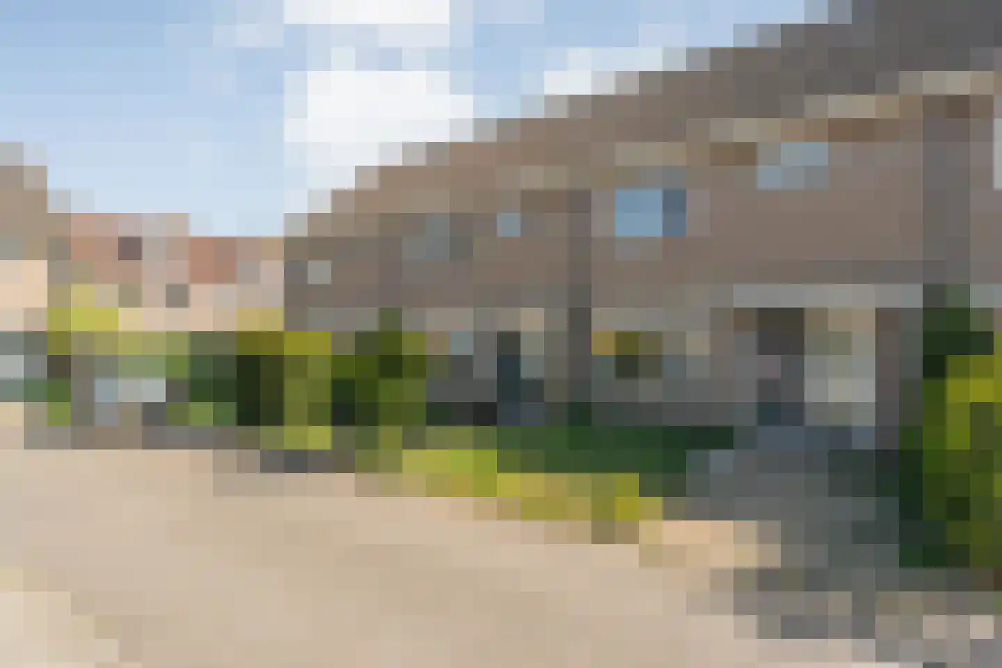 Bonte Kraai 3 Emmen foto 3
