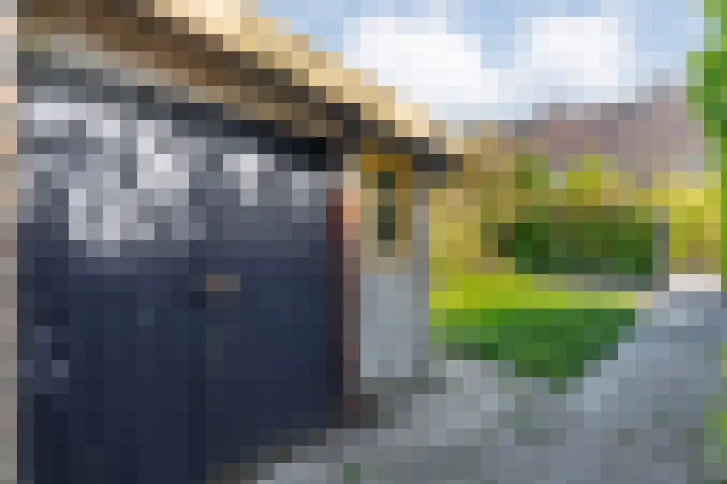 Bonte Kraai 3 Emmen thumbnail 32
