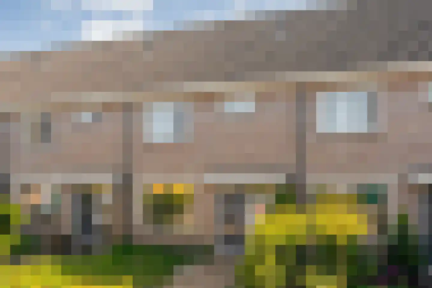 Bonte Kraai 3 Emmen thumbnail 4