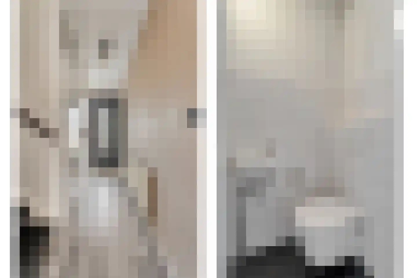 Bonte Kraai 3 Emmen thumbnail 5