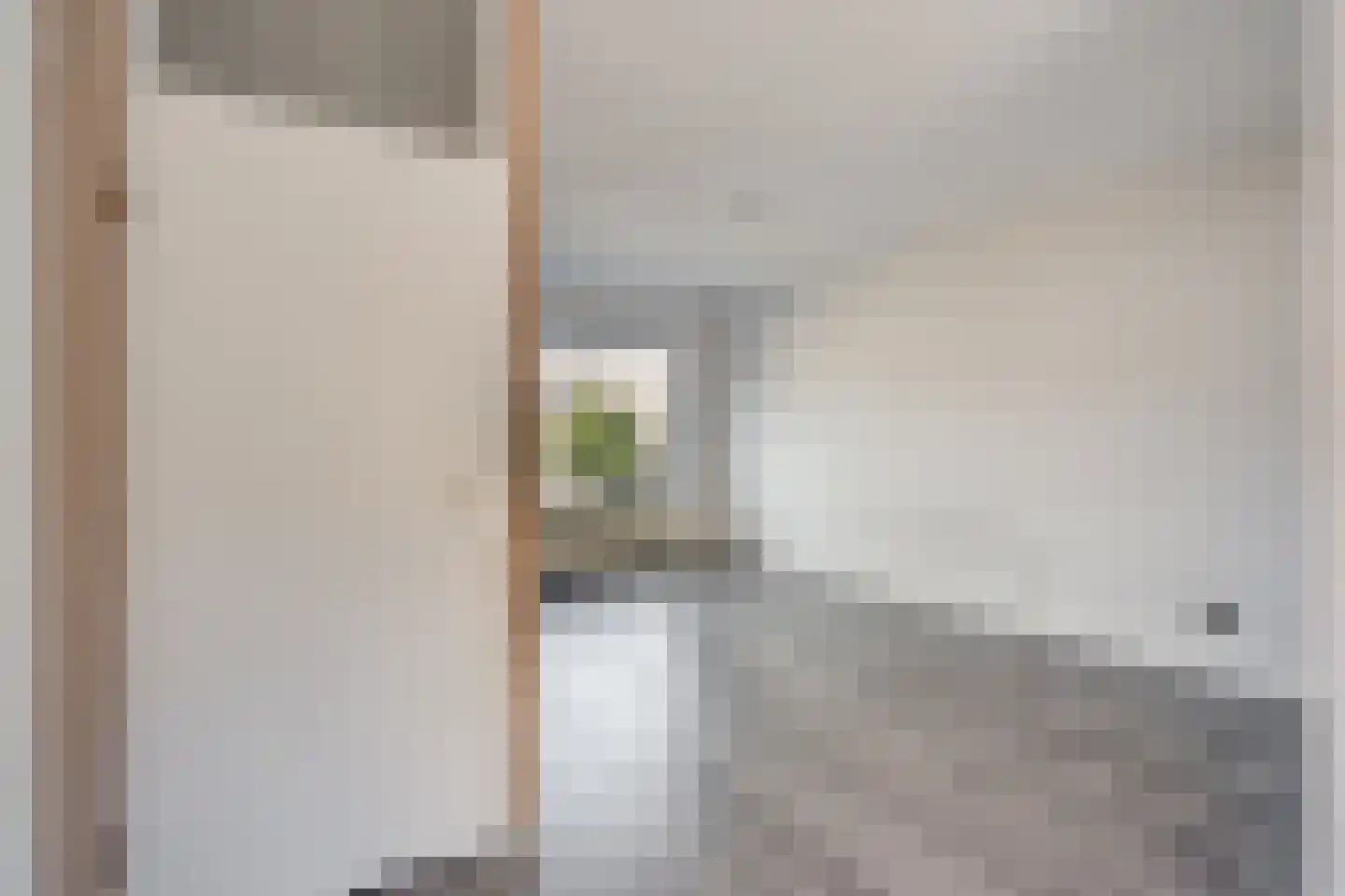 Bonte Kraai 3 Emmen thumbnail 7