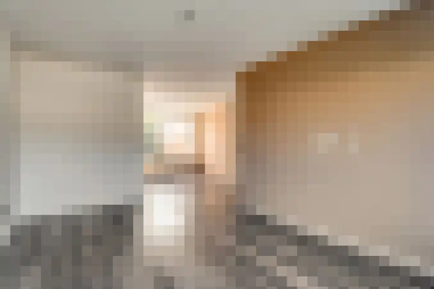 Bonte Kraai 3 Emmen thumbnail 8