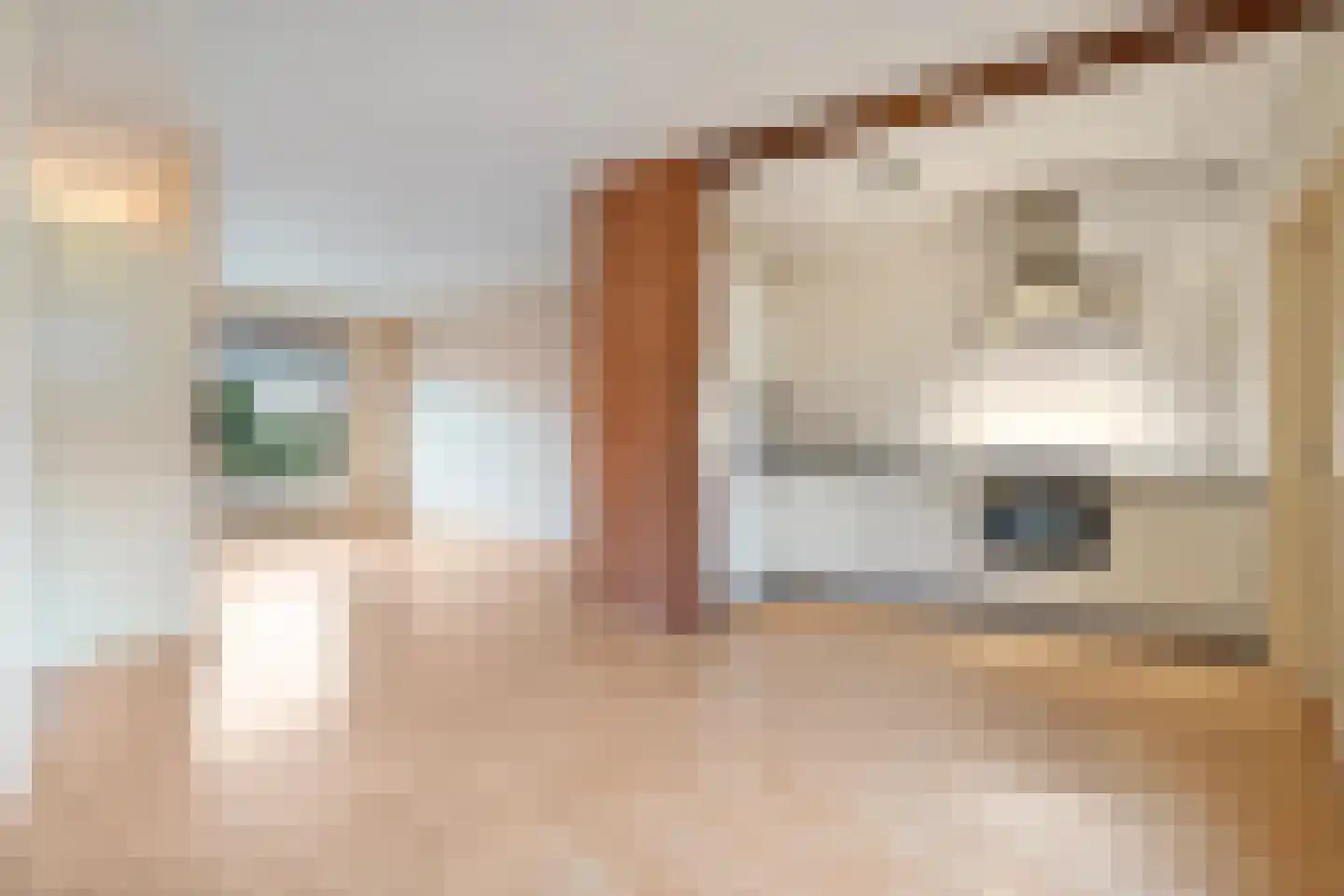 Bonte Kraai 4 Emmen thumbnail 10