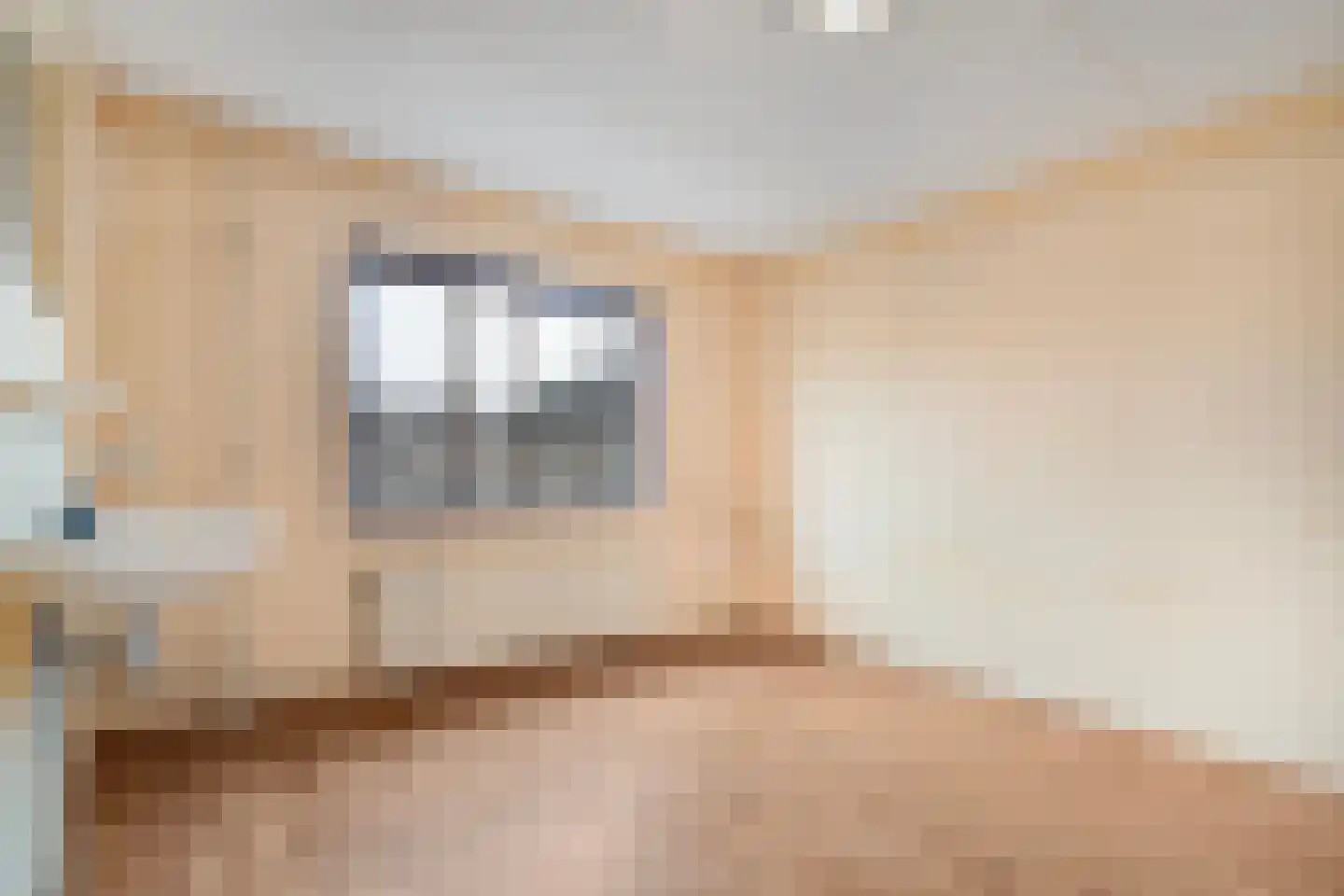 Bonte Kraai 4 Emmen thumbnail 19