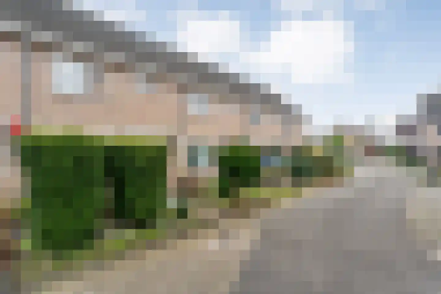 Bonte Kraai 4 Emmen foto 2