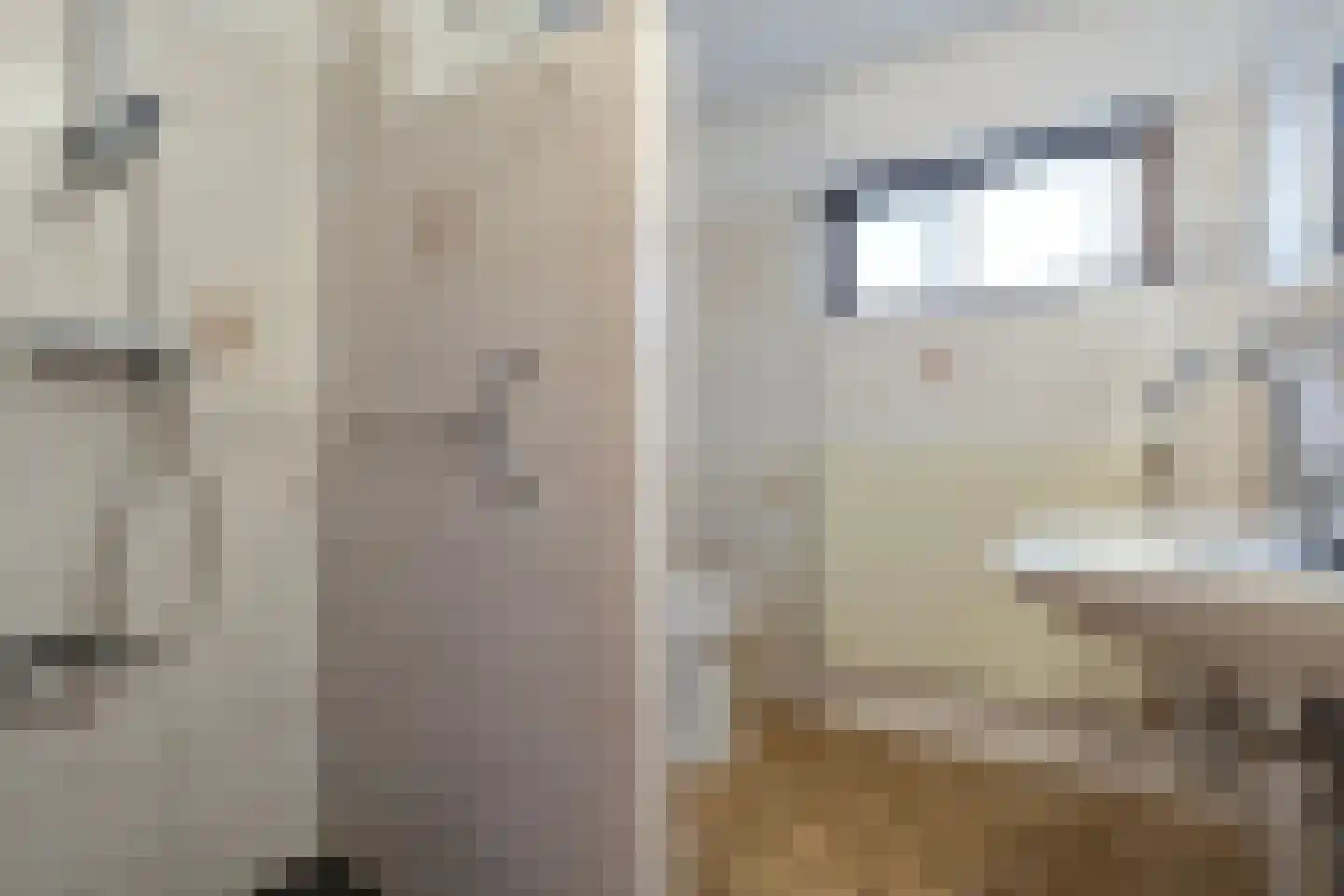 Bonte Kraai 4 Emmen thumbnail 21