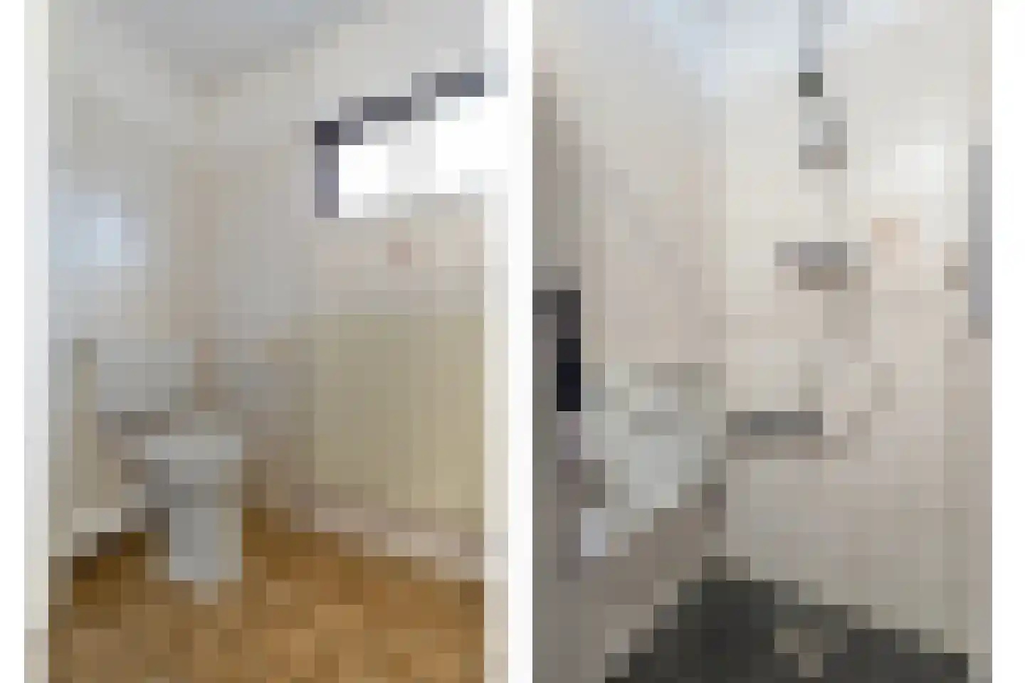 Bonte Kraai 4 Emmen thumbnail 22