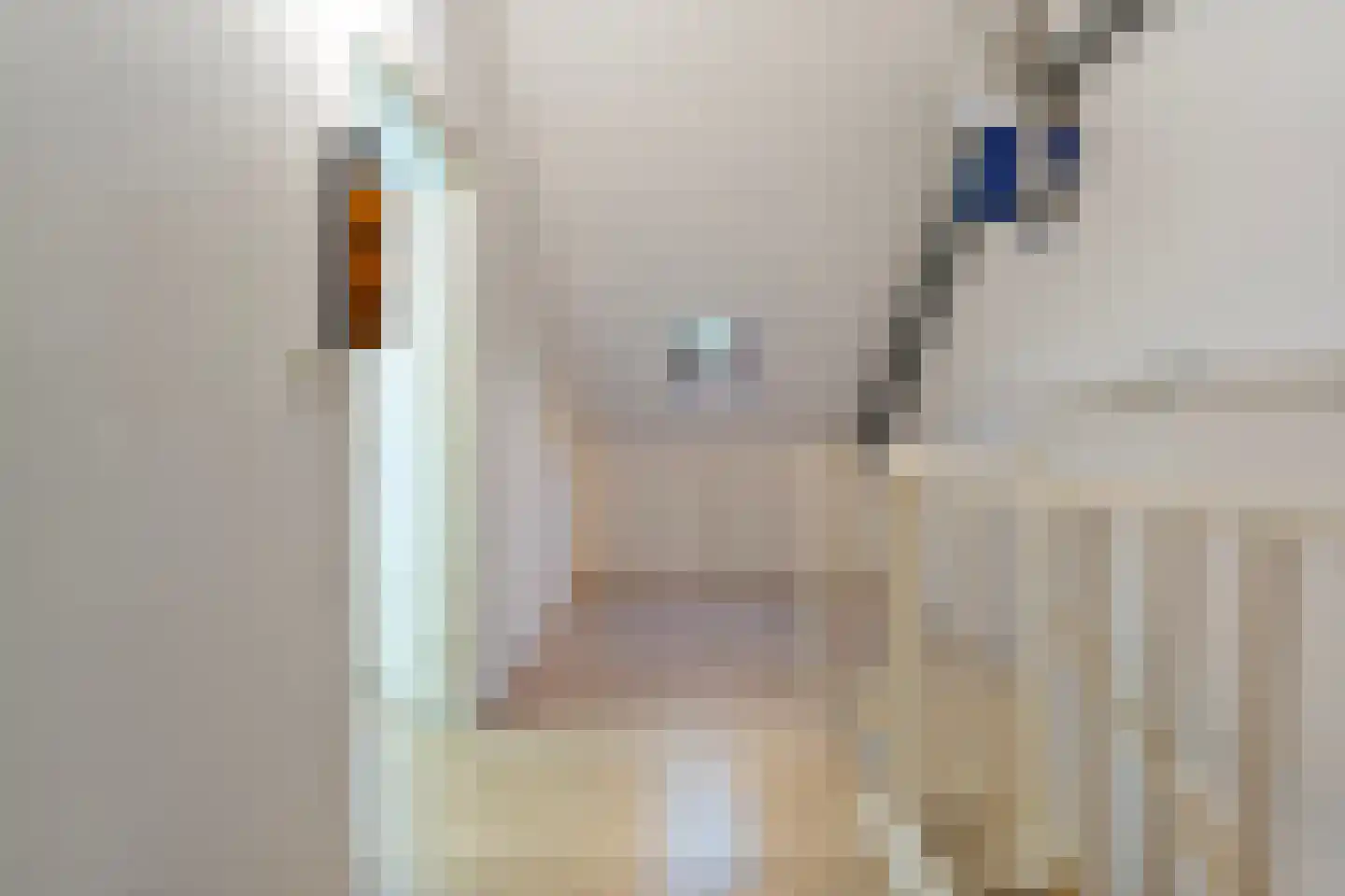 Bonte Kraai 4 Emmen thumbnail 23