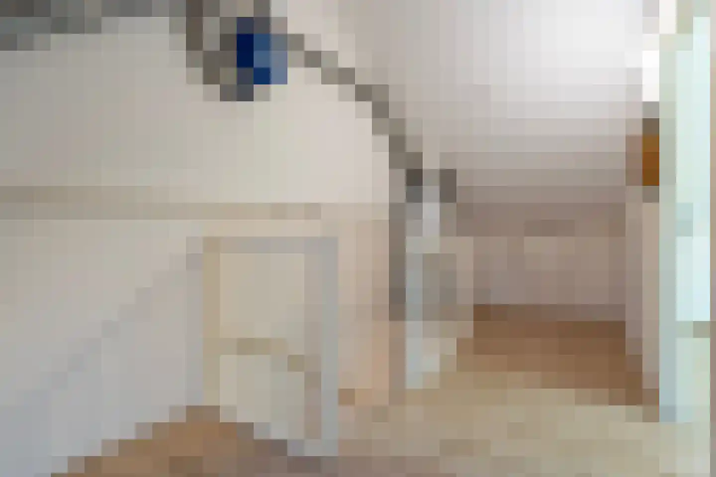 Bonte Kraai 4 Emmen thumbnail 24