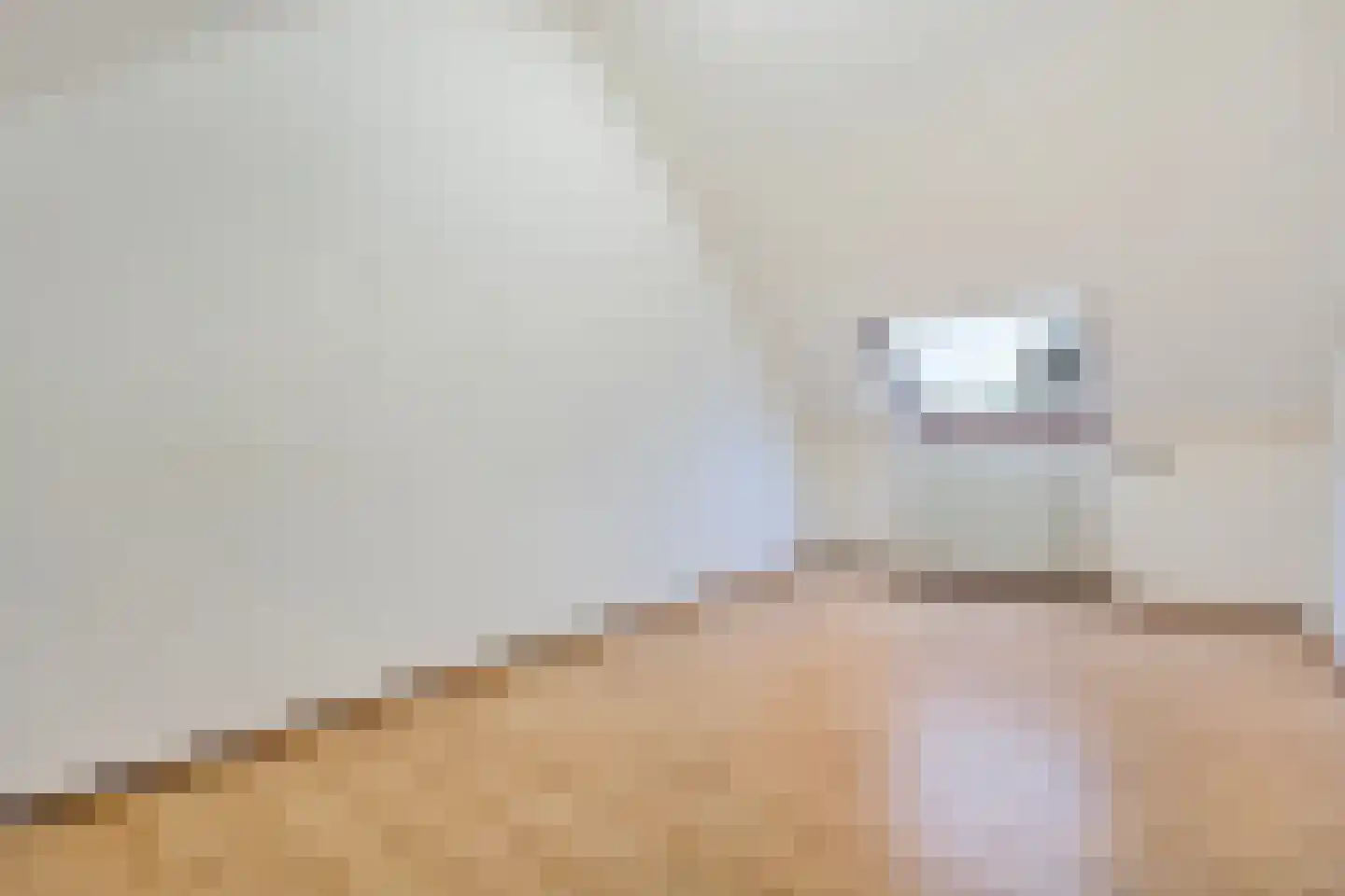 Bonte Kraai 4 Emmen thumbnail 25