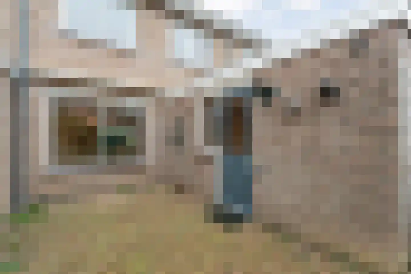 Bonte Kraai 4 Emmen thumbnail 27