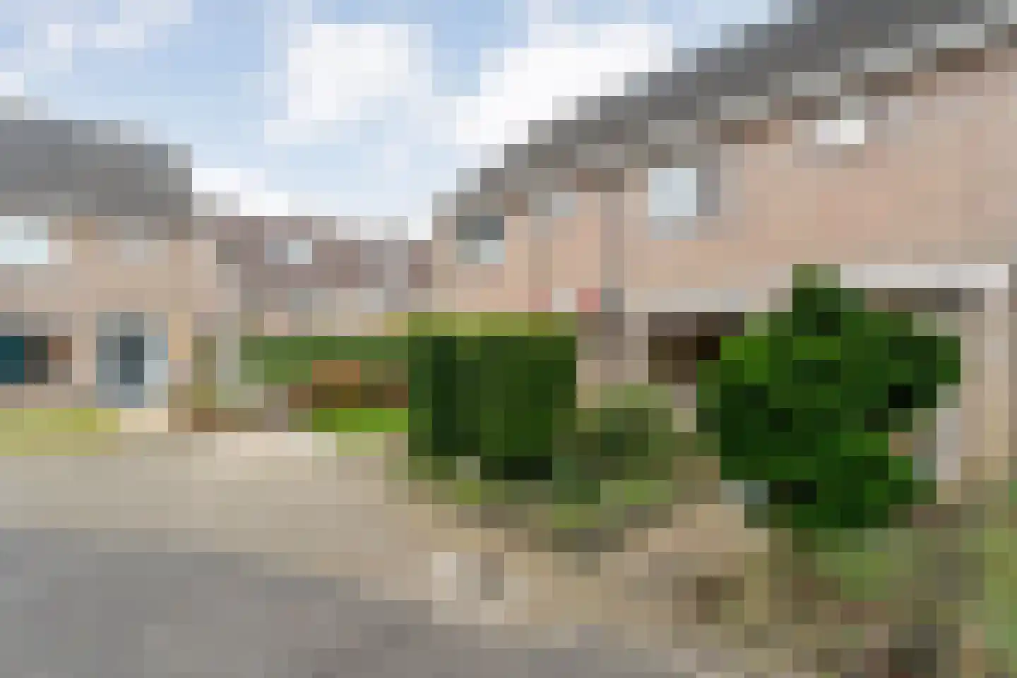 Bonte Kraai 4 Emmen foto 3