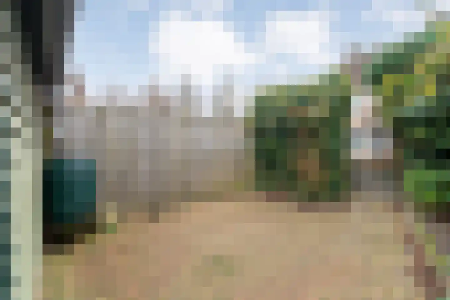 Bonte Kraai 4 Emmen thumbnail 30