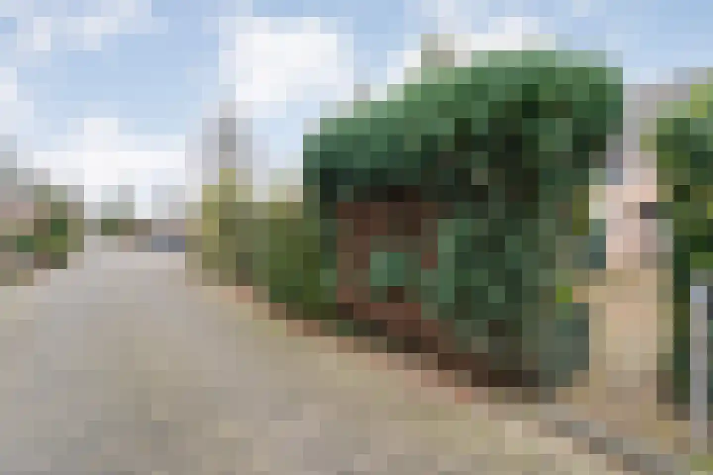 Bonte Kraai 4 Emmen thumbnail 33