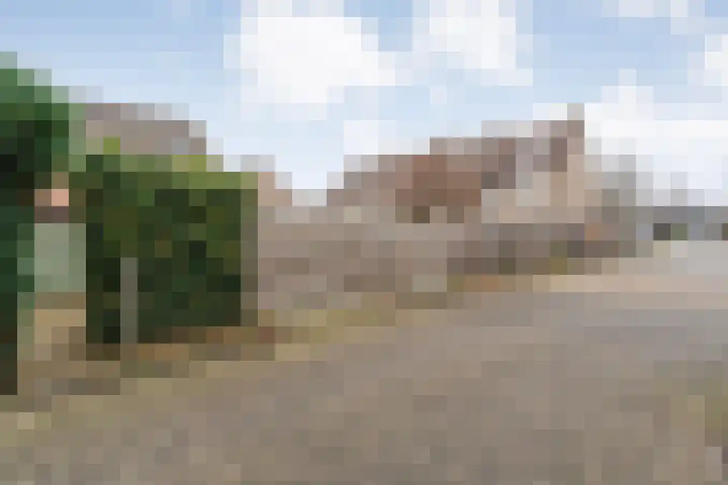 Bonte Kraai 4 Emmen thumbnail 34