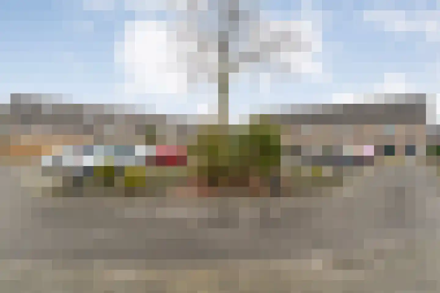 Bonte Kraai 4 Emmen thumbnail 36