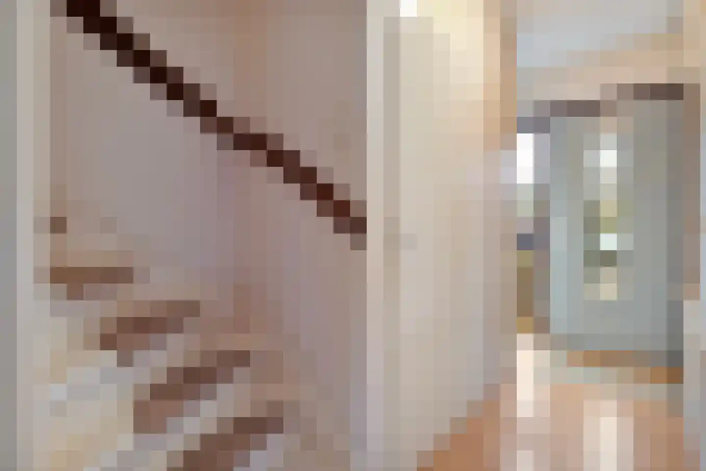 Bonte Kraai 4 Emmen thumbnail 5