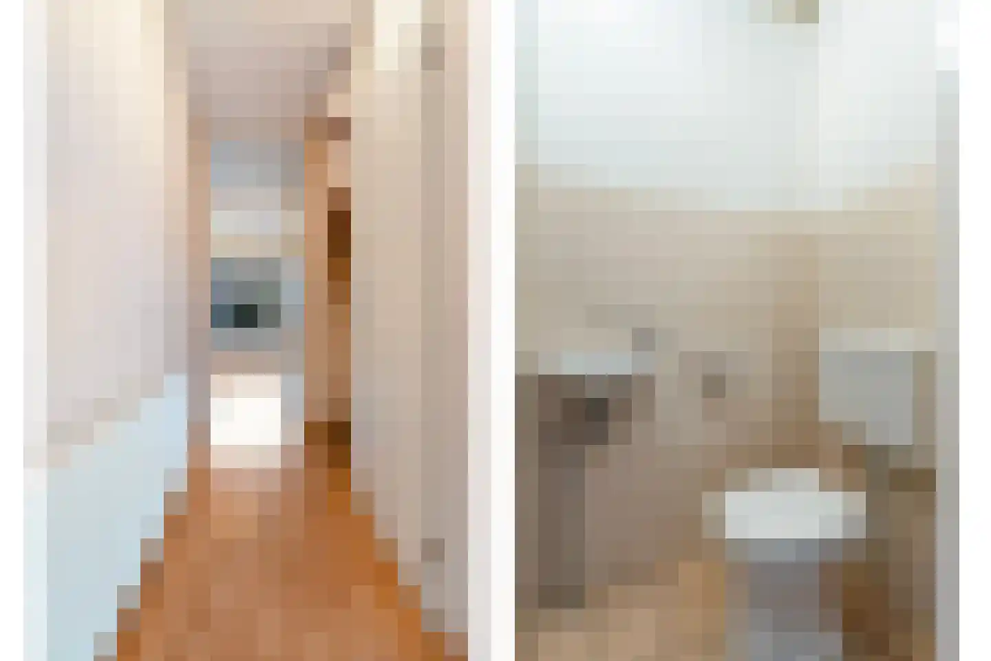 Bonte Kraai 4 Emmen thumbnail 6