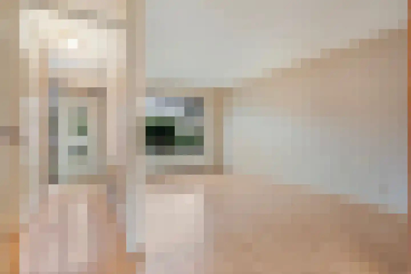 Bonte Kraai 4 Emmen thumbnail 8