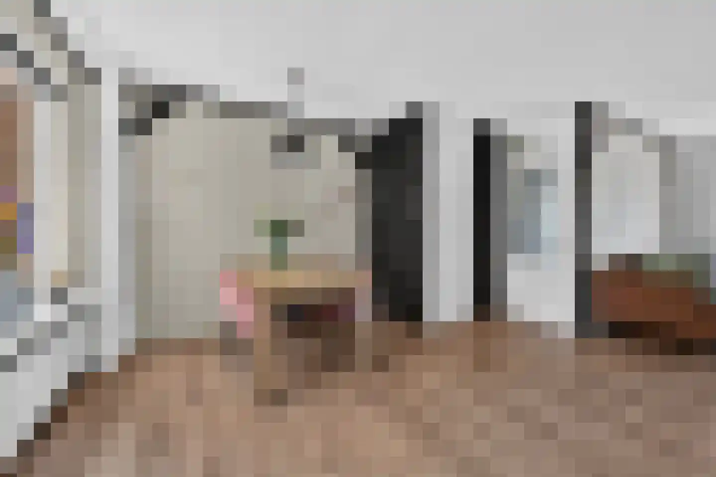 Bonte Kraai 9 Emmen thumbnail 10