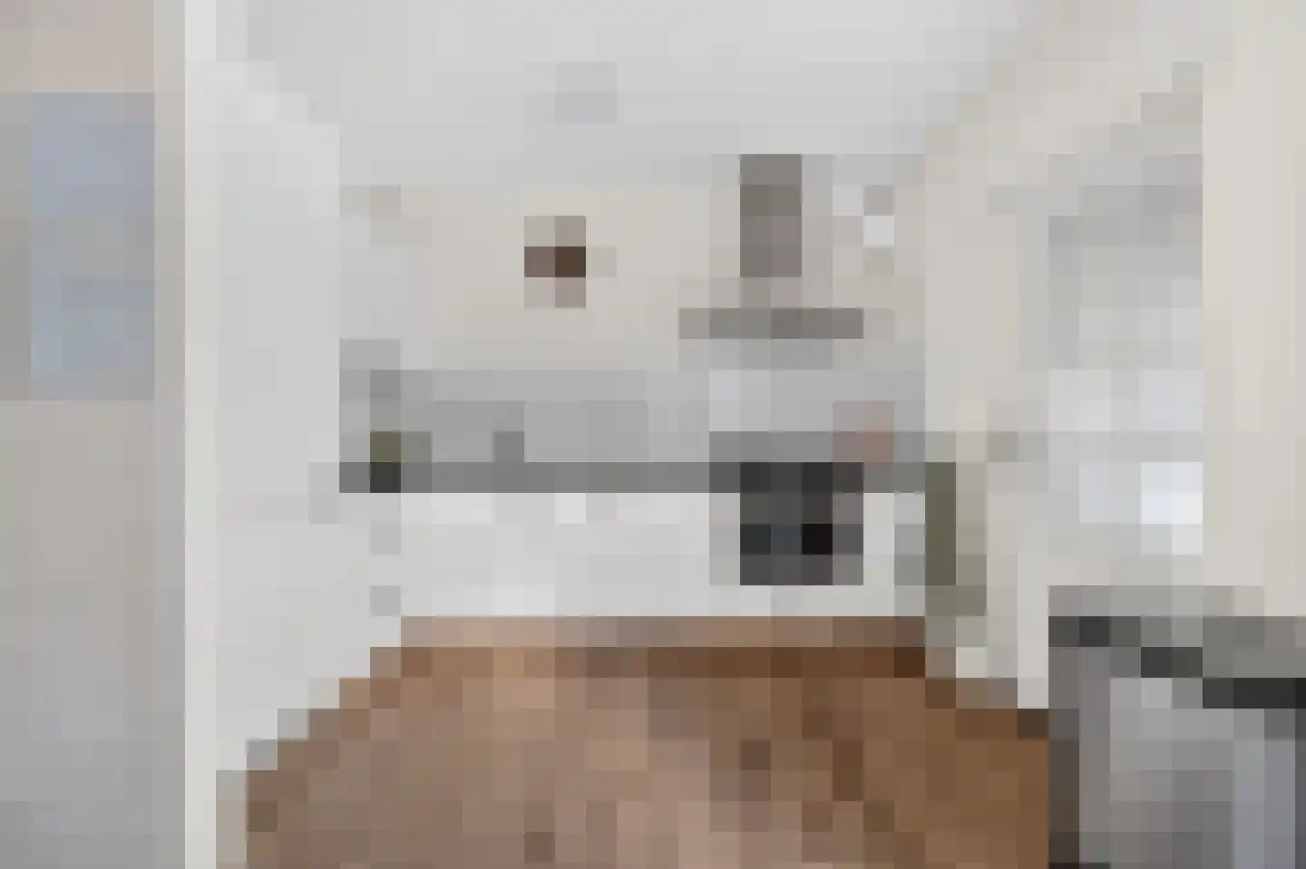 Bonte Kraai 9 Emmen thumbnail 12