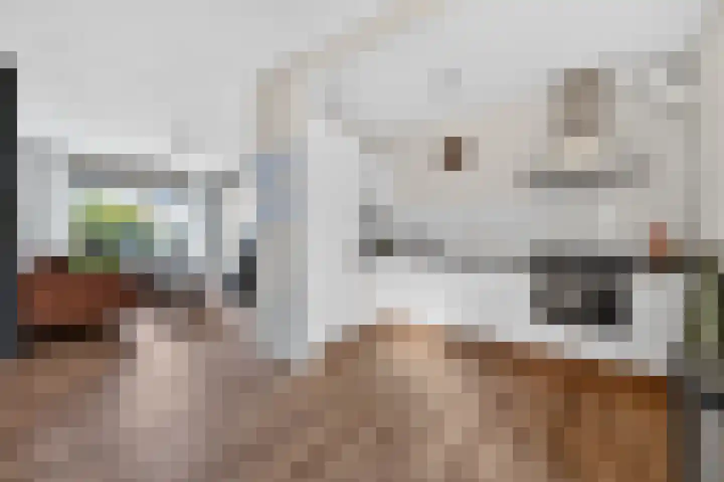 Bonte Kraai 9 Emmen thumbnail 13