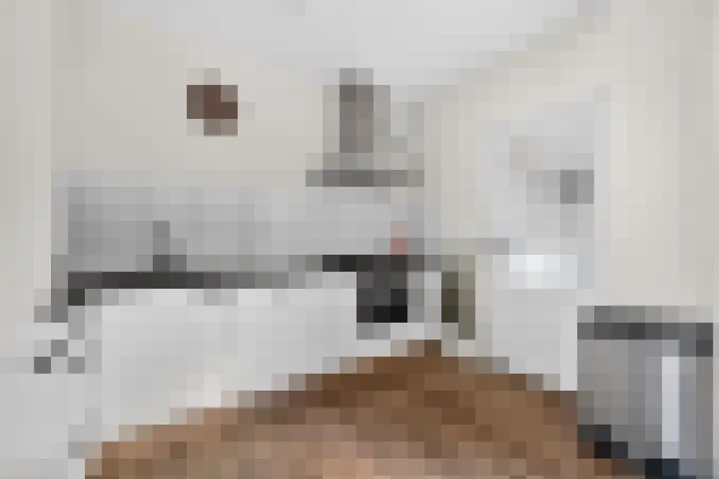 Bonte Kraai 9 Emmen thumbnail 14