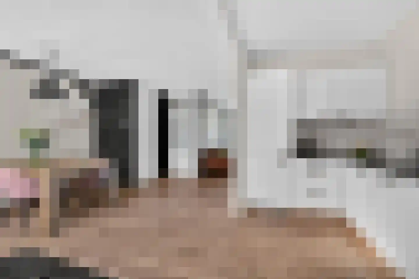 Bonte Kraai 9 Emmen thumbnail 16