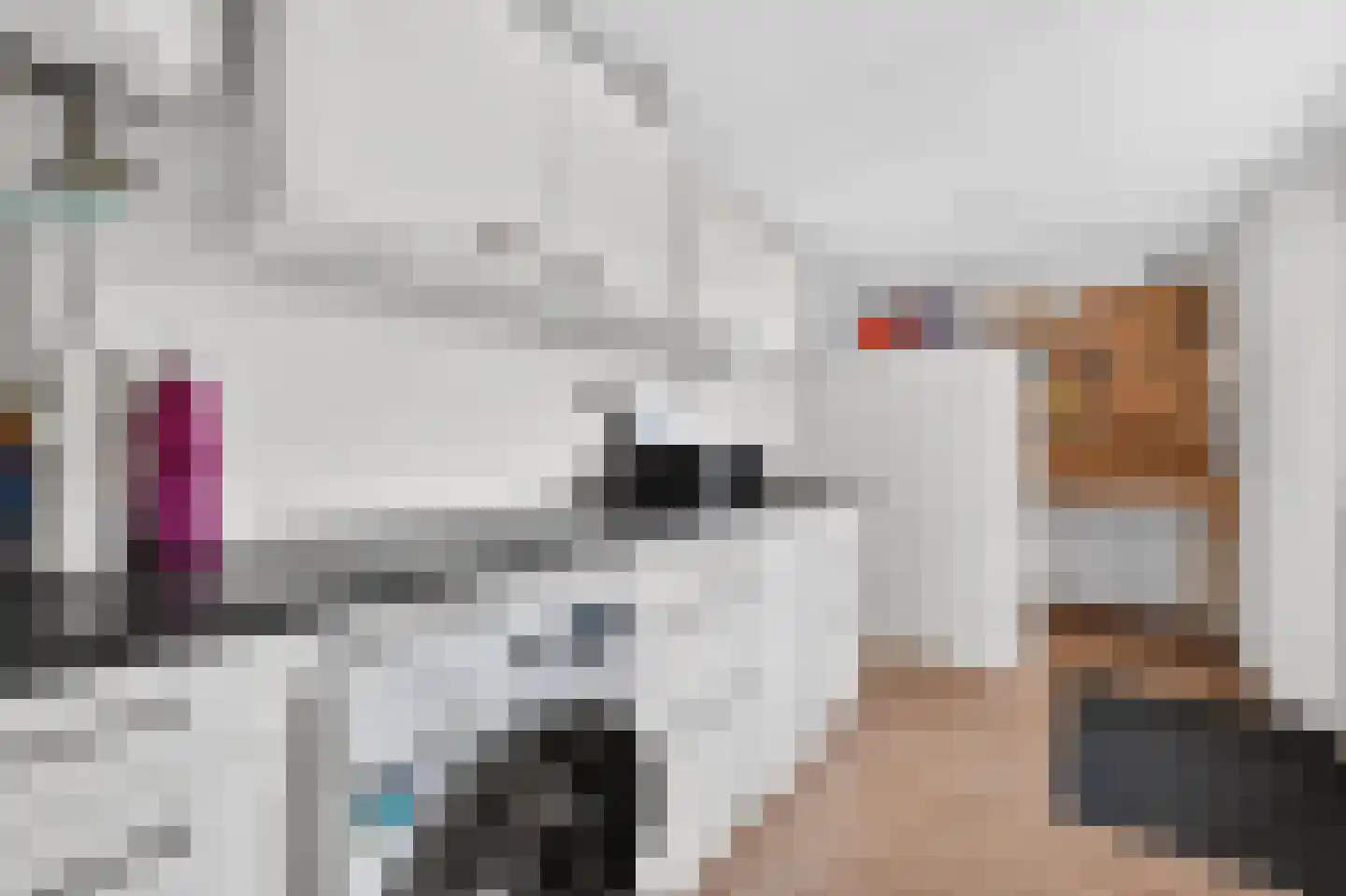 Bonte Kraai 9 Emmen thumbnail 17