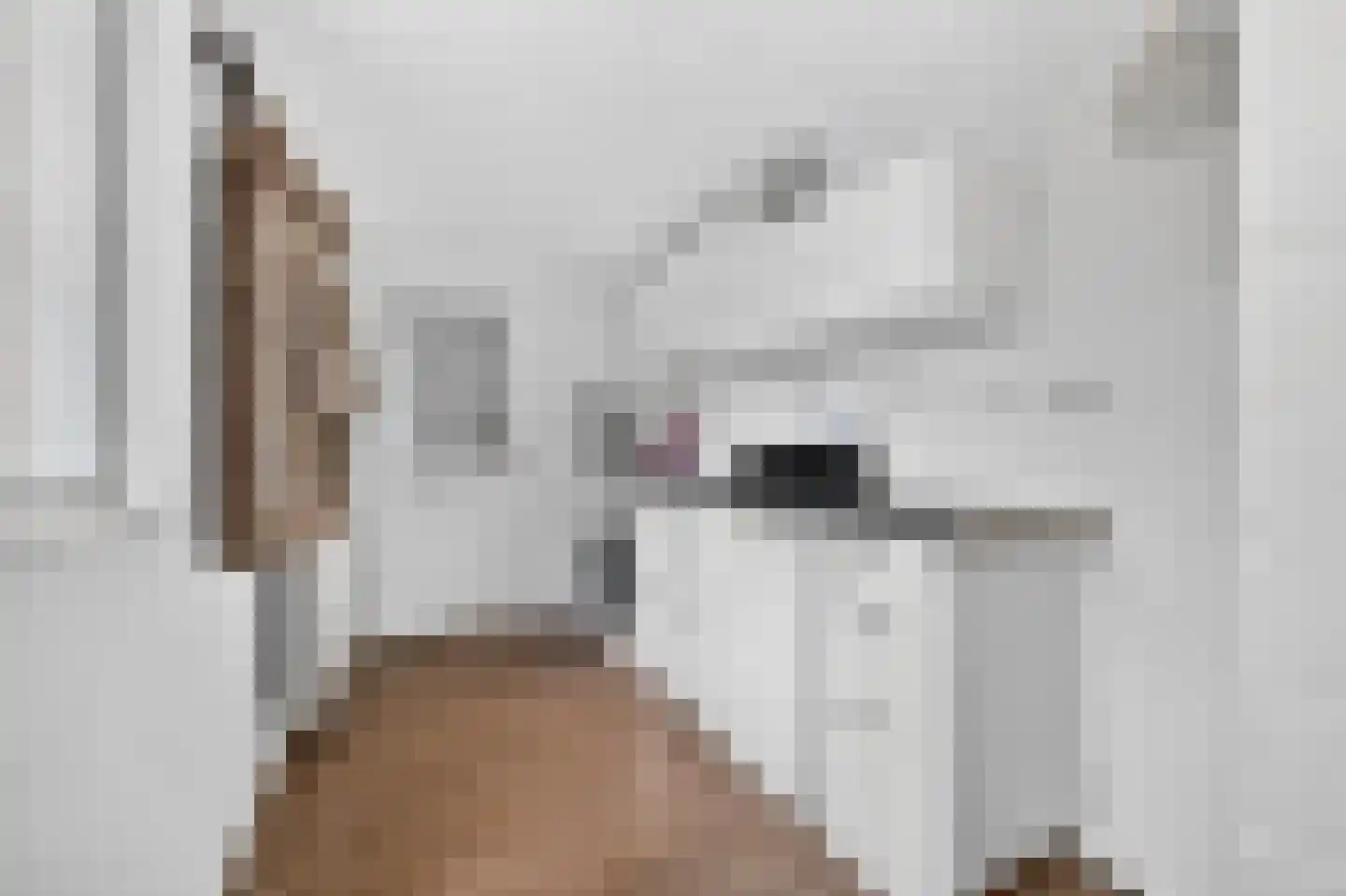 Bonte Kraai 9 Emmen thumbnail 18