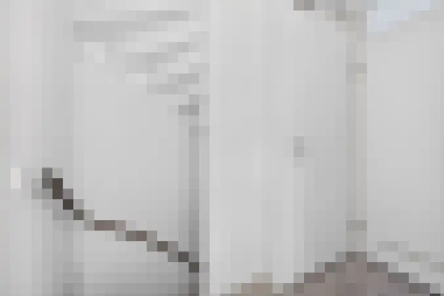 Bonte Kraai 9 Emmen thumbnail 19