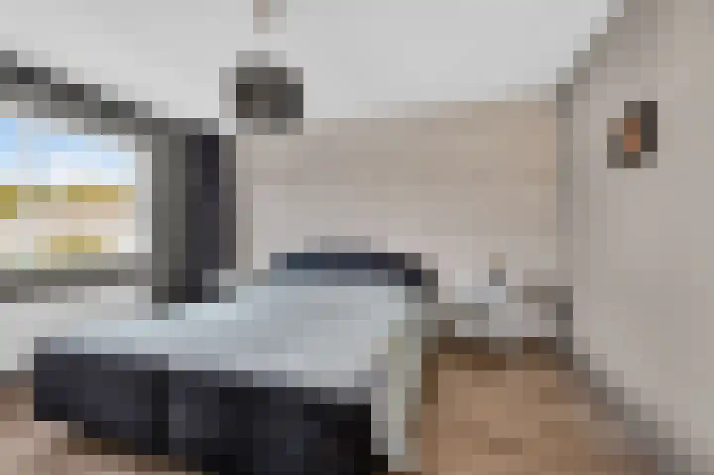 Bonte Kraai 9 Emmen thumbnail 20