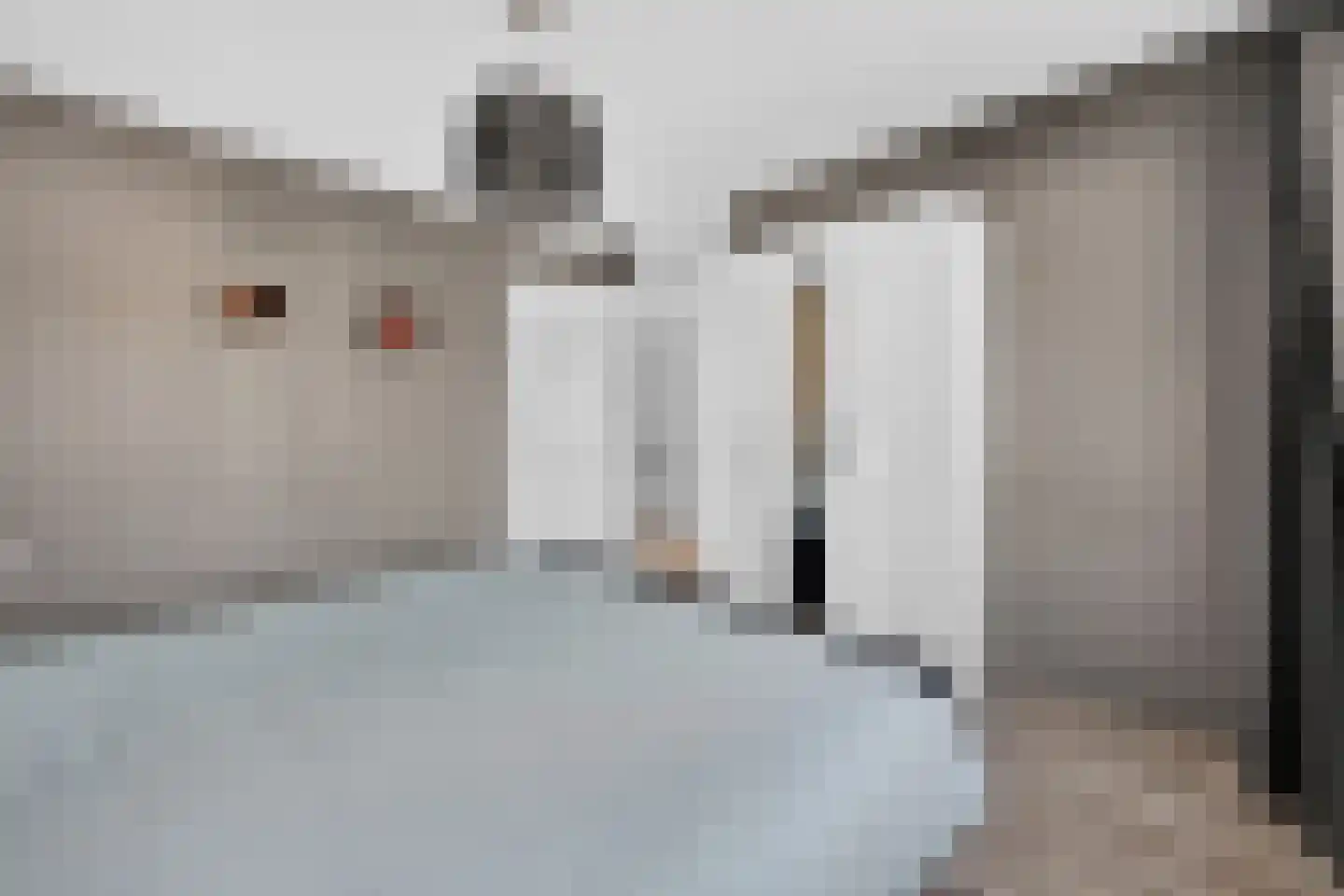 Bonte Kraai 9 Emmen thumbnail 21