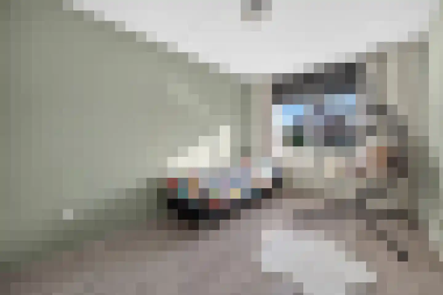Bonte Kraai 9 Emmen thumbnail 22