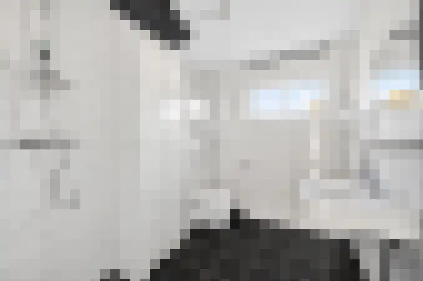Bonte Kraai 9 Emmen thumbnail 26