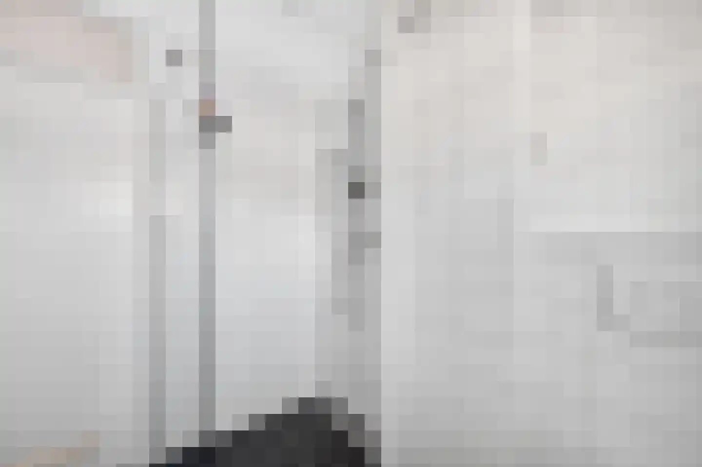 Bonte Kraai 9 Emmen thumbnail 27