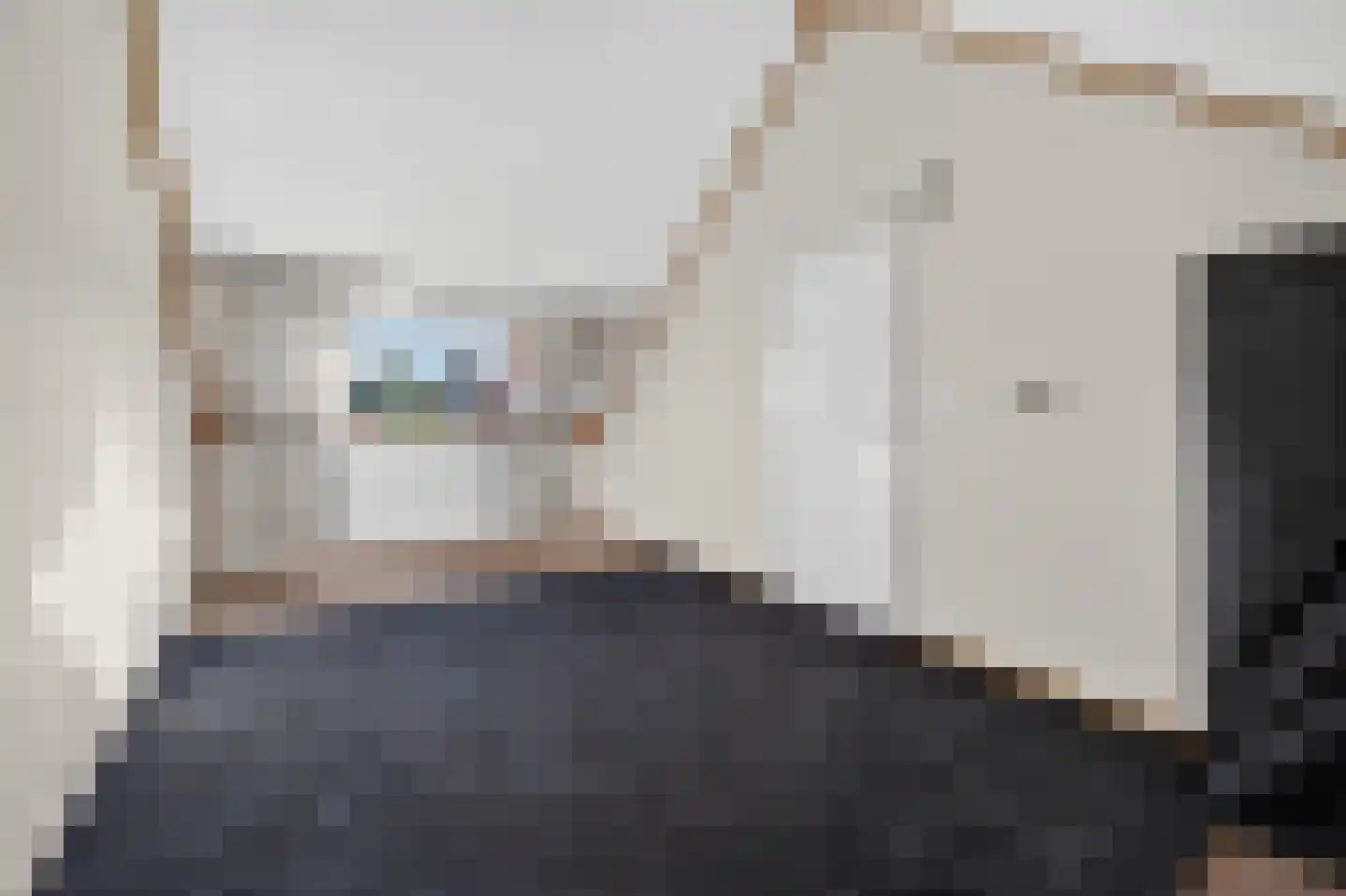 Bonte Kraai 9 Emmen thumbnail 29