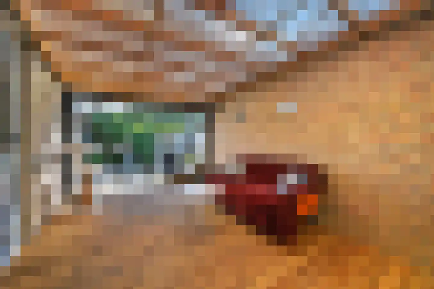 Bonte Kraai 9 Emmen thumbnail 39