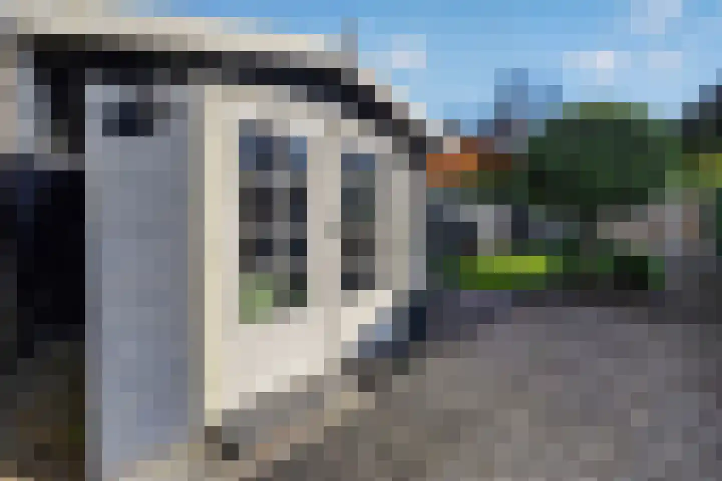 Bonte Kraai 9 Emmen thumbnail 41