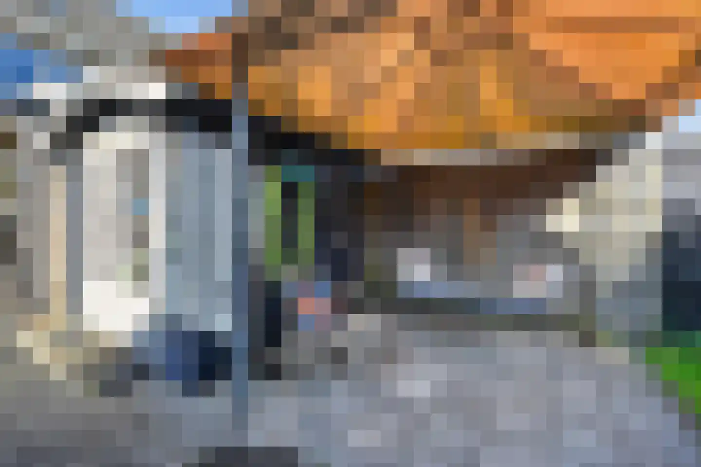 Bonte Kraai 9 Emmen thumbnail 42