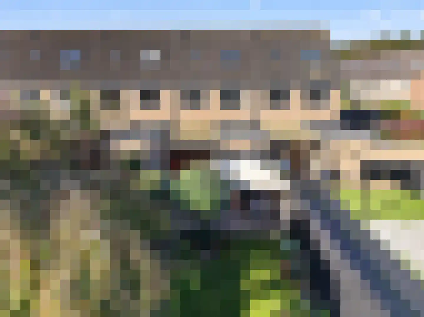 Bonte Kraai 9 Emmen thumbnail 43