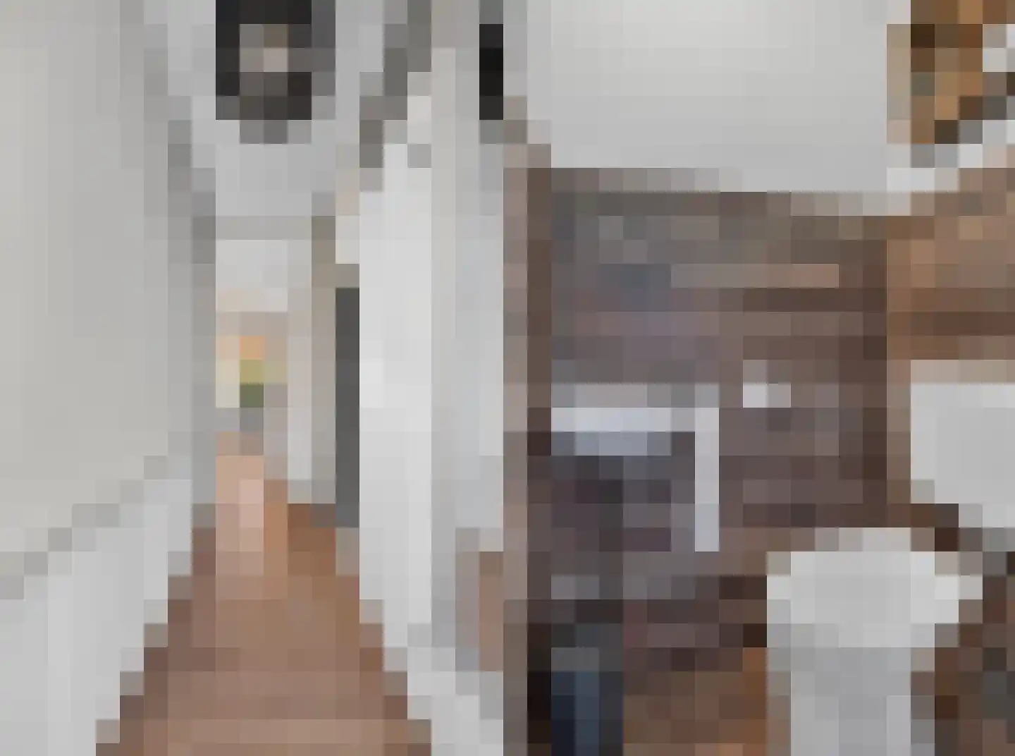 Bonte Kraai 9 Emmen thumbnail 5