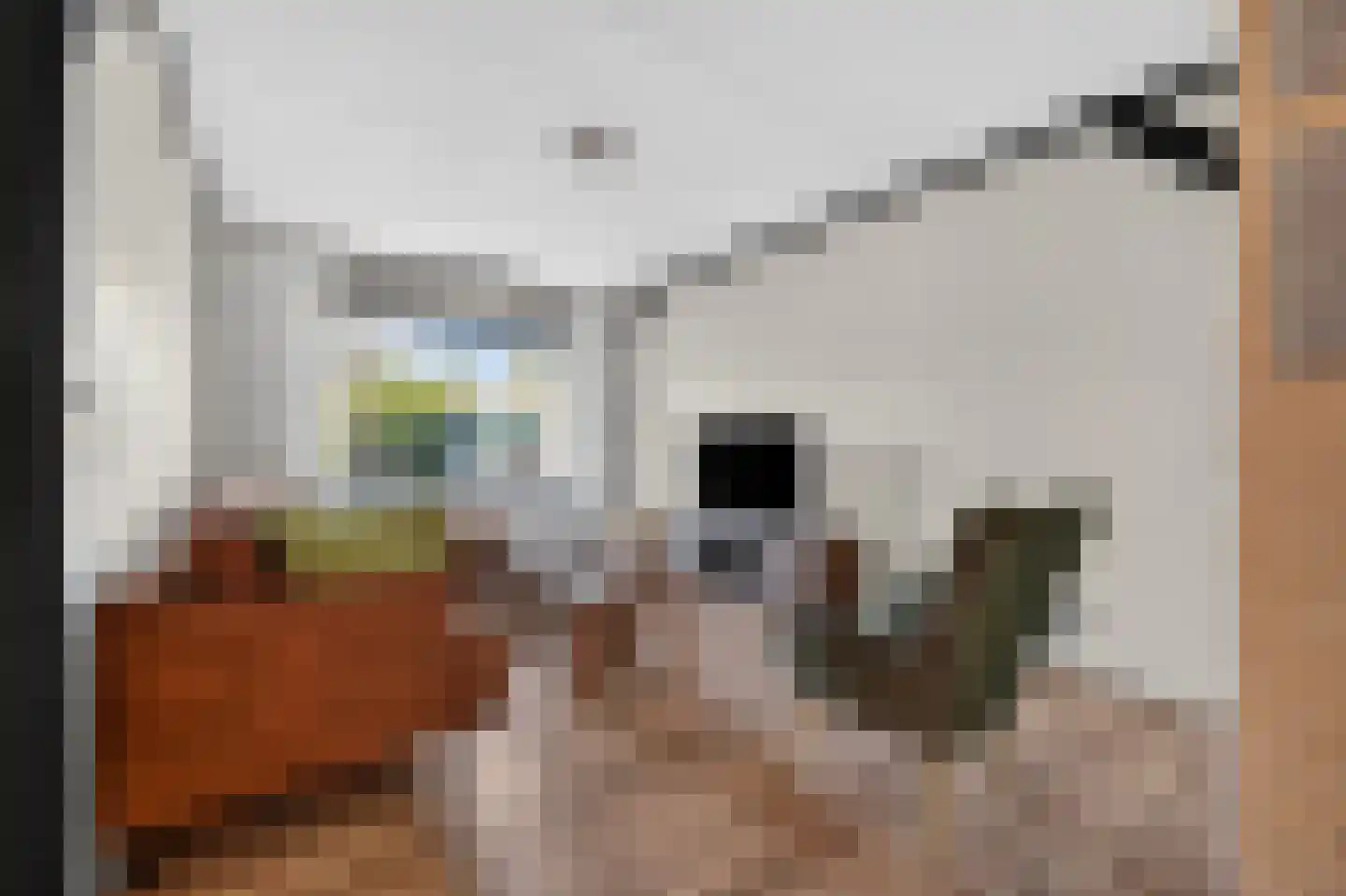 Bonte Kraai 9 Emmen thumbnail 6