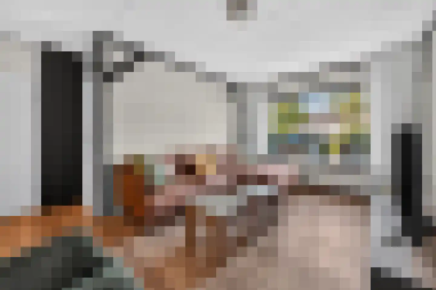 Bonte Kraai 9 Emmen thumbnail 7