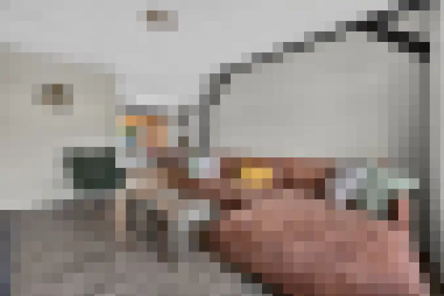 Bonte Kraai 9 Emmen thumbnail 8