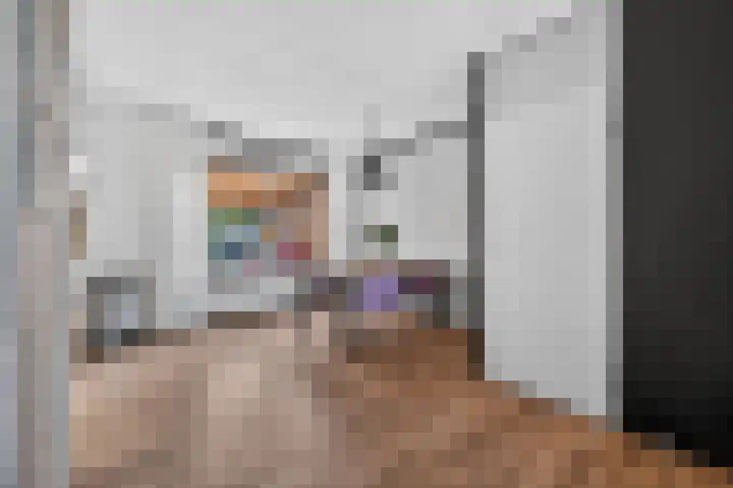 Bonte Kraai 9 Emmen thumbnail 9
