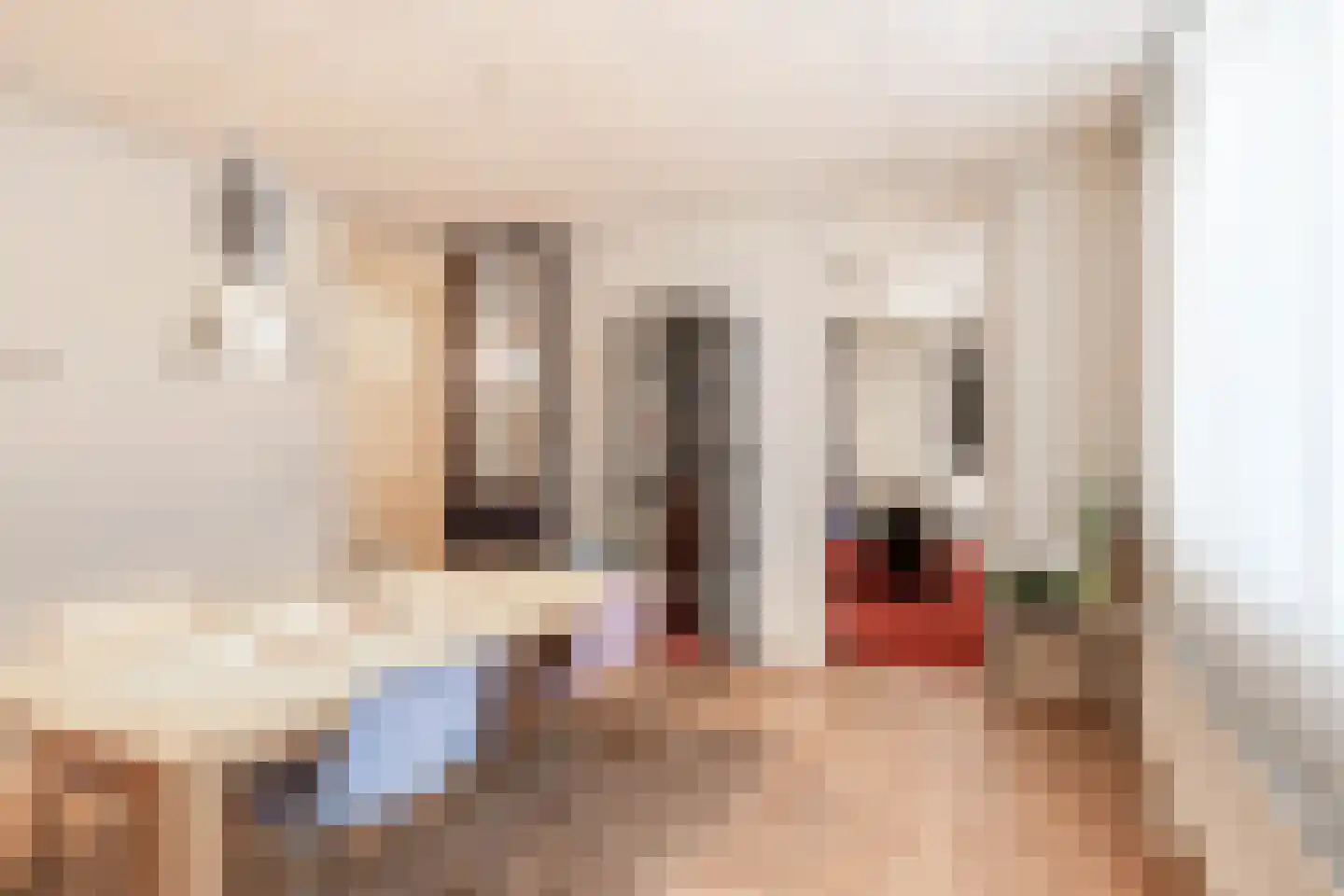 Bonte Kraaiweg 22 Wormerveer thumbnail 20